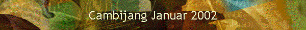 Cambijang Januar 2002